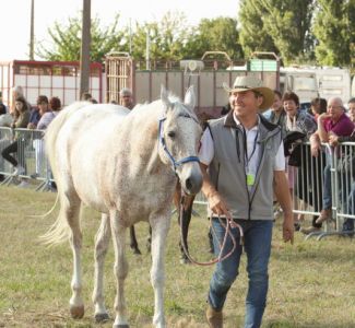 CRINIERES_2016_0007