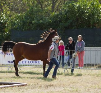 CRINIERES_2016_0008