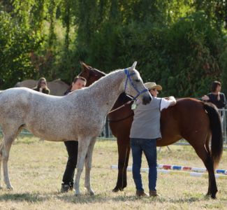 CRINIERES_2016_0009