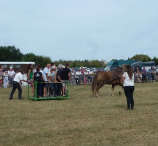 P1070238