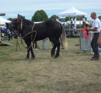 P1070247