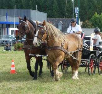 P1070380