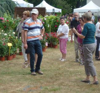 RENCONTRES_VEGETALES_2016_0003