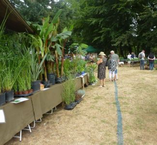 RENCONTRES_VEGETALES_2016_0008