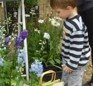 RENCONTRES_VEGETALES_2016_0020