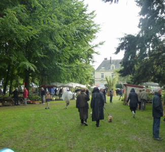 Rencontres végétales 2017