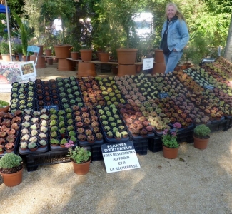 journees-vegetales-2018-0021