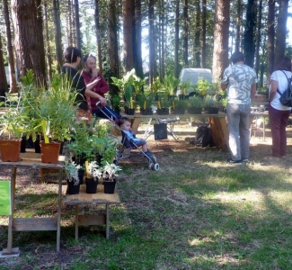 journees-vegetales-2018-0027