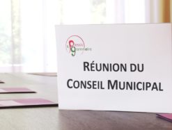 Conseil municipal reunion