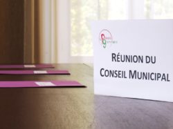 Conseil municipal reunion2