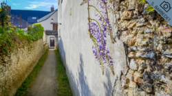 2 – Copie