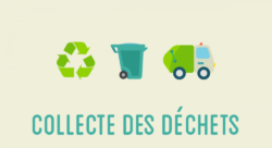 Collecte des poubelles : rythme des ramassages