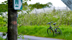 Piste cyclable (S.BARBEDET)