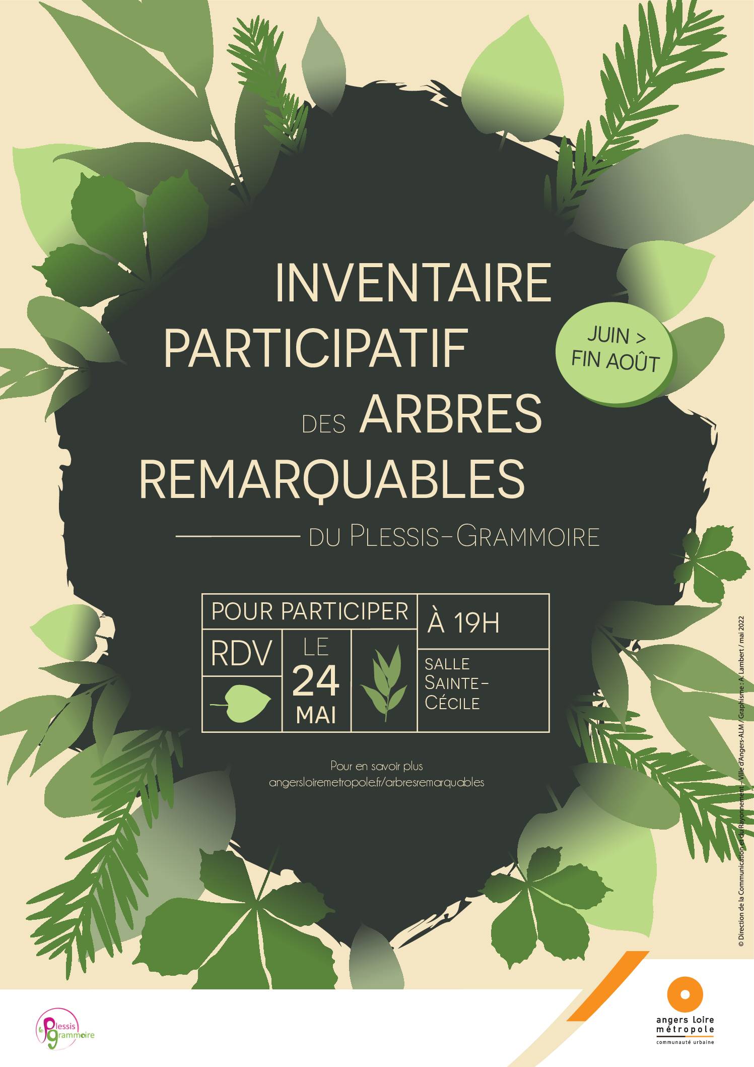 HD Affiche Plessis-Grammoire Arbre Remarquable